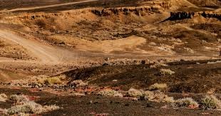 斗地主里配合失误的原因（导致斗地主中配合失误的因素）